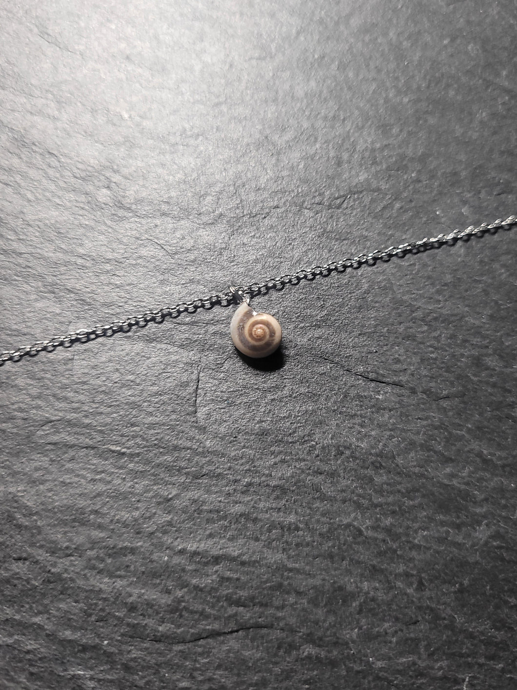 Real Shell Bracelet or Anklet