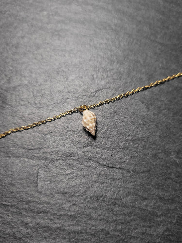 Real Shell Bracelet or Anklet