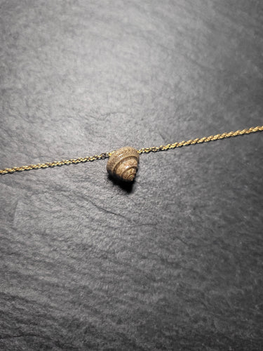 Real Shell Bracelet or Anklet