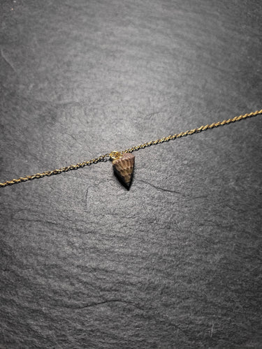 Real Shell Bracelet or Anklet