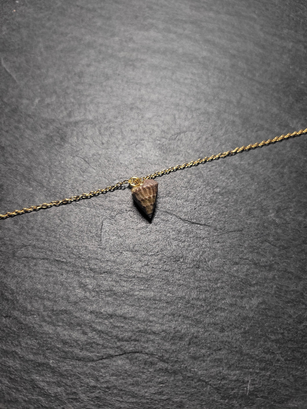 Real Shell Bracelet or Anklet