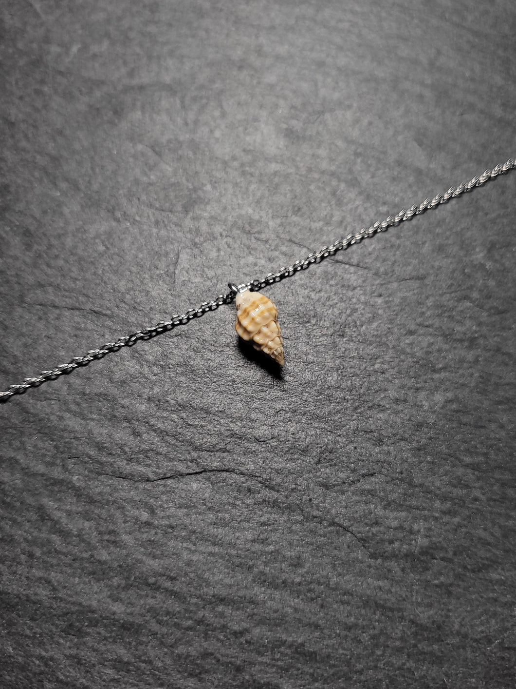 Real Shell Bracelet or Anklet