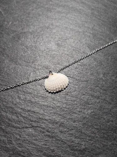 Real Shell Bracelet or Anklet