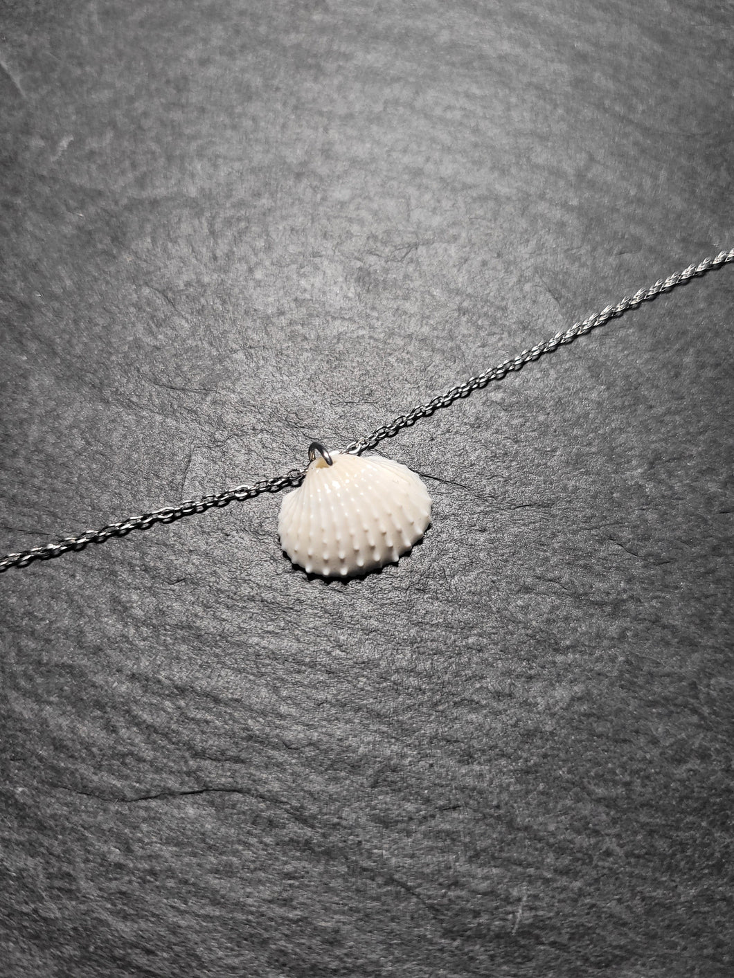 Real Shell Bracelet or Anklet