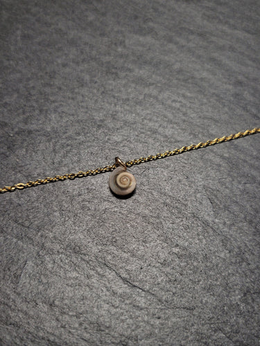 Real Shell Bracelet or Anklet