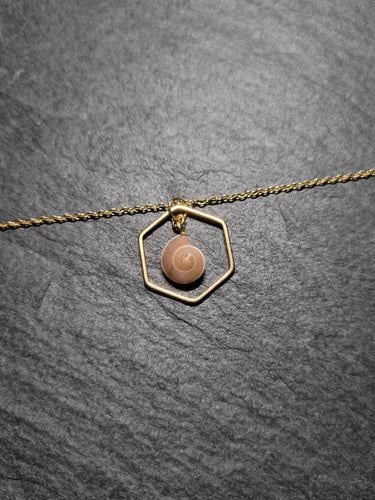 Real Shell Bracelet or Anklet