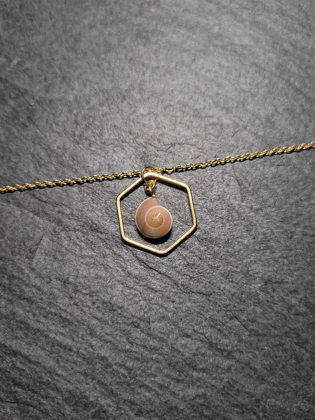 Real Shell Bracelet or Anklet