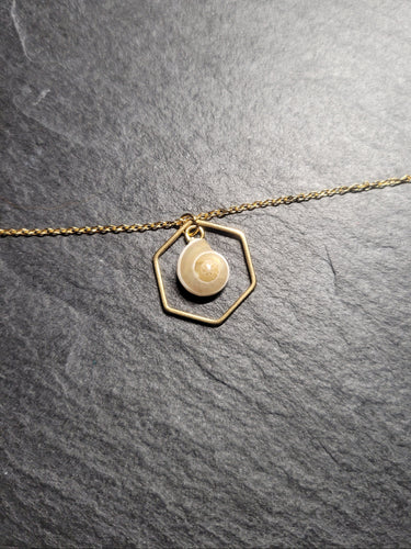 Real Shell Bracelet or Anklet