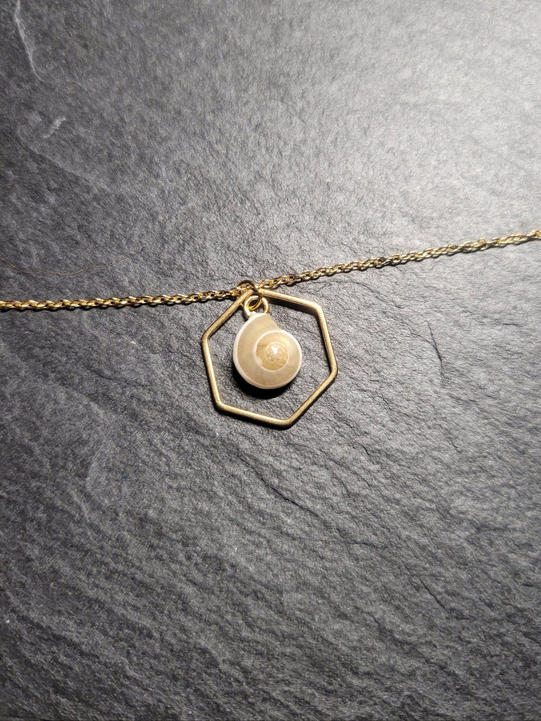 Real Shell Bracelet or Anklet