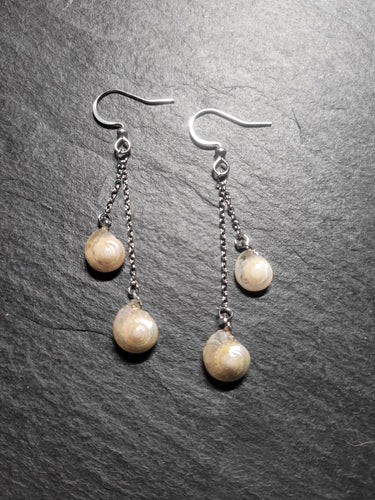 Real Shell Earrings
