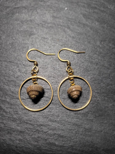 Real Shell Earrings