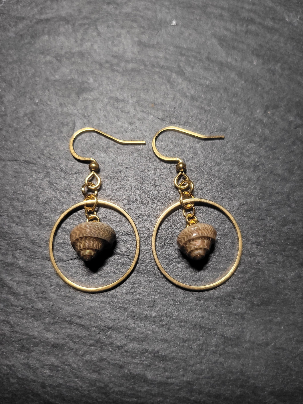 Real Shell Earrings