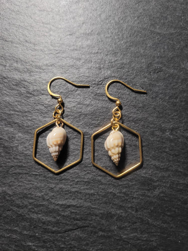 Real Shell Earrings