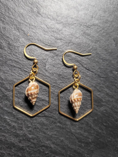Real Shell Earrings
