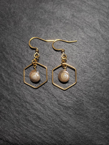 Real Shell Earrings