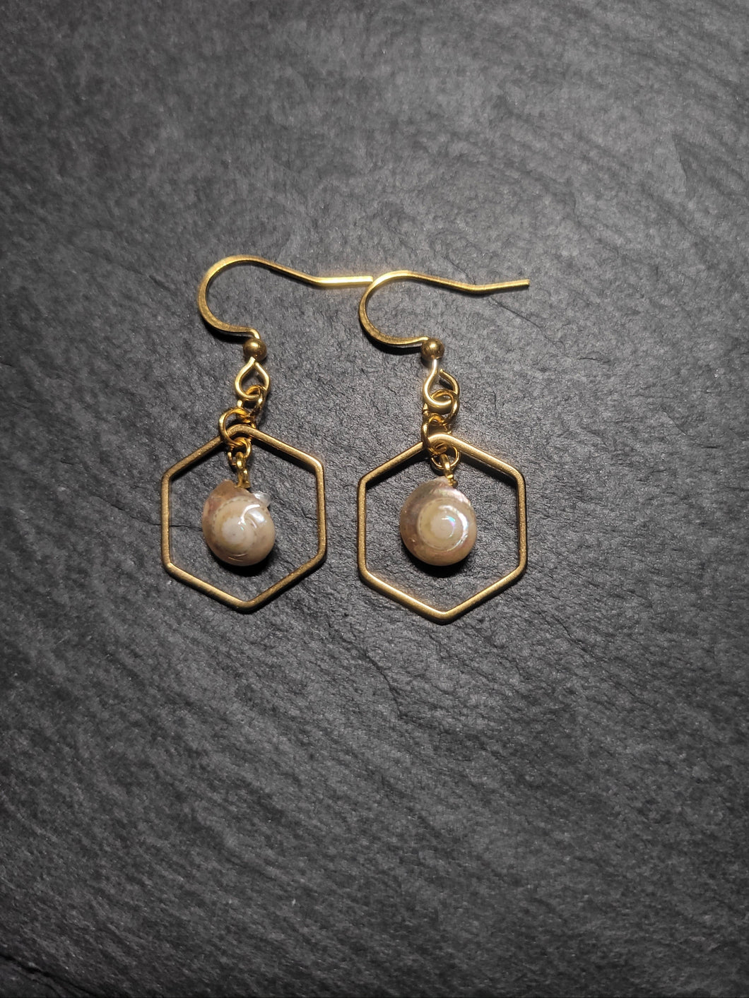 Real Shell Earrings