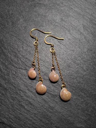 Real Shell Earrings