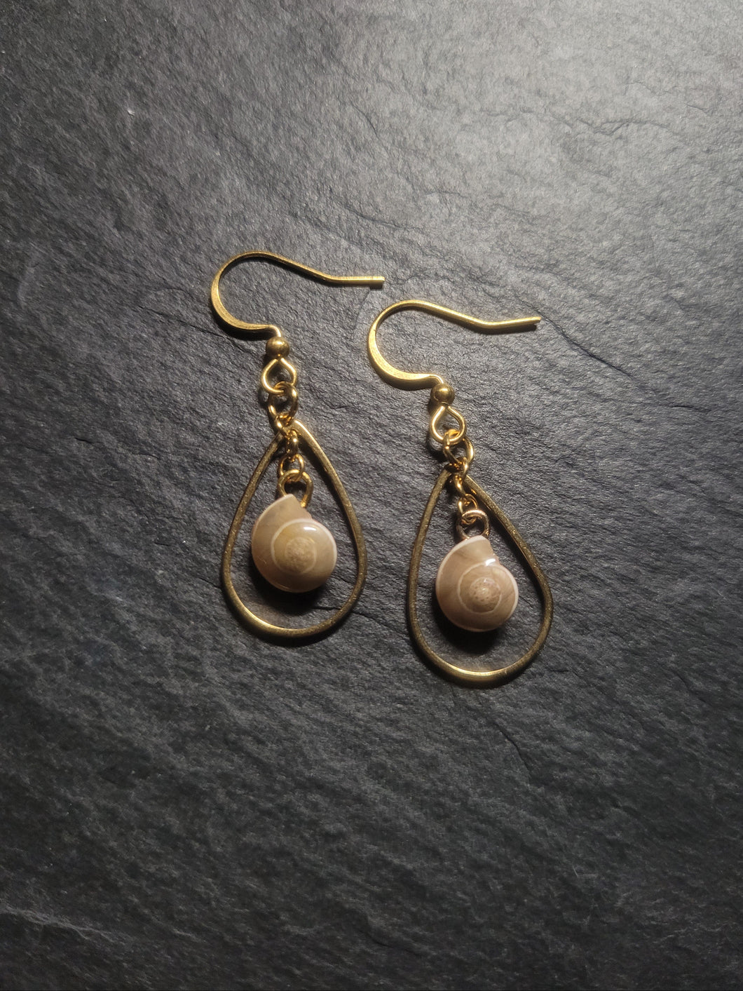 Real Shell Earrings