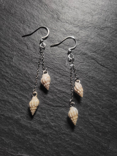 Real Shell Earrings