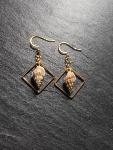 Real Shell Earrings