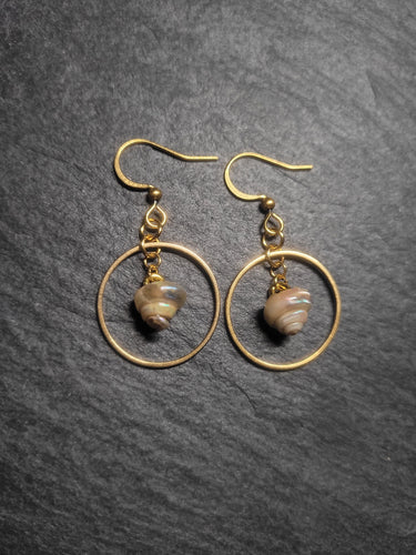 Real Shell Earrings