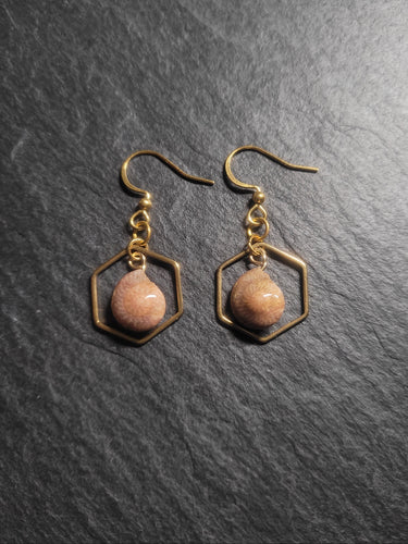 Real Shell Earrings