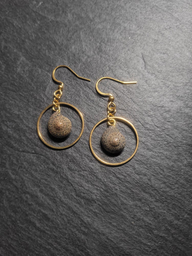 Real Shell Earrings