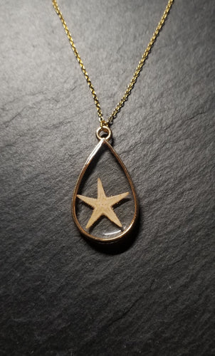 Real Starfish Necklace