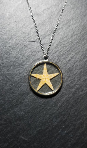 Real Starfish Necklace