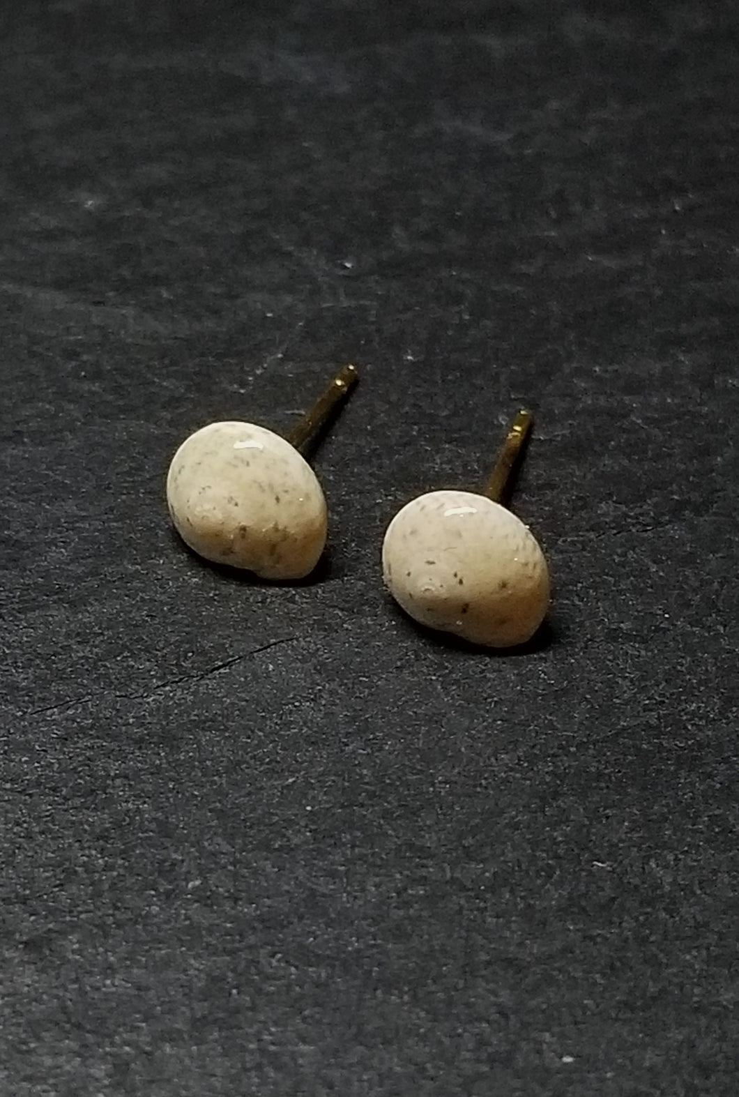 Small Shell Stud Earrings