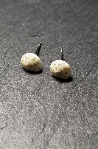 Small Shell Stud Earrings