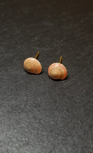 Small Shell Stud Earrings