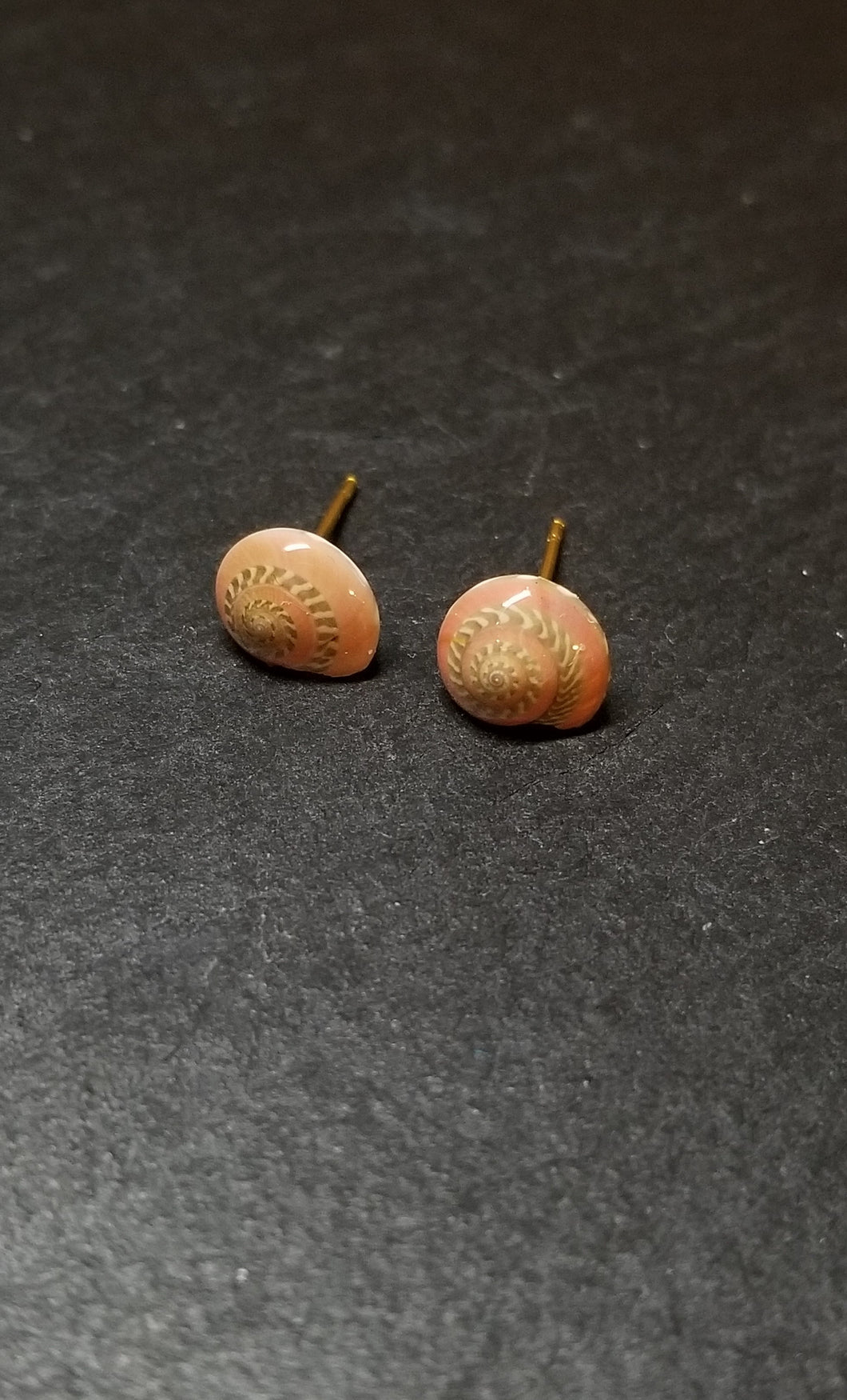 Small Shell Stud Earrings