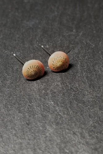 Small Shell Stud Earrings